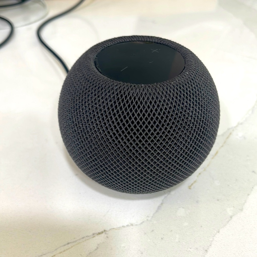 2021 Space Gray Home Pod Mini